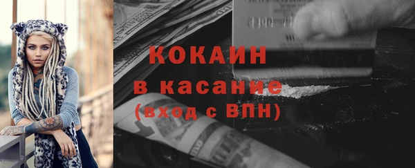 бошки Ельня