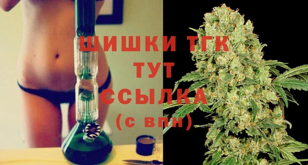 бошки Ельня