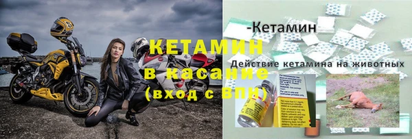 бошки Ельня