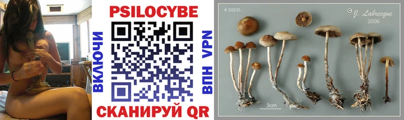 Псилоцибиновые грибы Cubensis  Куса 