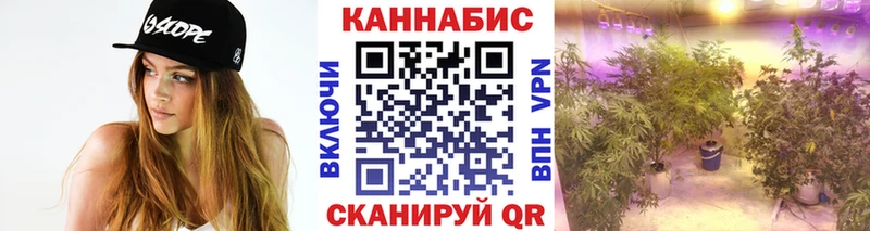 Бошки марихуана марихуана Куса